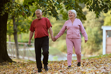 Image showing Elderly couple strolling through the breathtaking beauty of nature, maintaining their vitality and serenity, embracing the joys of a health-conscious and harmonious lifestyle