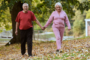 Image showing Elderly couple strolling through the breathtaking beauty of nature, maintaining their vitality and serenity, embracing the joys of a health-conscious and harmonious lifestyle