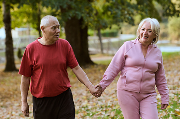 Image showing Elderly couple strolling through the breathtaking beauty of nature, maintaining their vitality and serenity, embracing the joys of a health-conscious and harmonious lifestyle