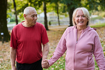 Image showing Elderly couple strolling through the breathtaking beauty of nature, maintaining their vitality and serenity, embracing the joys of a health-conscious and harmonious lifestyle