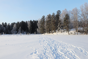 Image showing Vinter