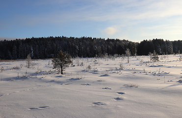 Image showing Vinter