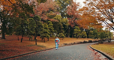 Image showing Japanese woman, kimono and walking by autumn leaves on trees and wellness for peace in nature. Person, journey and heritage by outdoor park on road, respect and traditional fashion in tokyo town