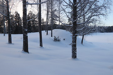 Image showing Vinter