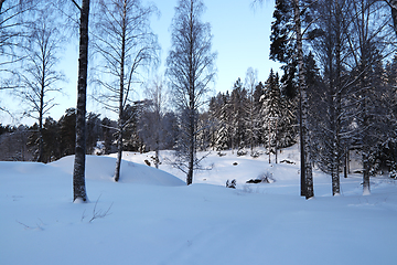 Image showing Vinter