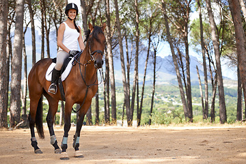 Image showing Portrait, horse riding or equestrian in countryside or nature with rider or jockey for recreation or adventure. Smile, pet or happy woman with an animal for training, exercise or wellness in forest