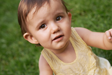 Image showing Sweet, grass and portrait of girl baby having fun and playing in backyard, park or garden. Nature, cute and face of kid, infant or toddler sitting on lawn for child development senses outdoor at home