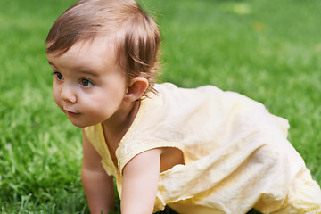 Image showing Sweet, grass and girl baby crawling, having fun and playing in backyard, park or garden. Nature, cute and kid, infant or toddler sitting on the lawn for child development senses outdoor at home.