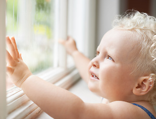 Image showing Baby, window and child thinking by glass at home, curious and sad alone. Young kid, blonde toddler and dream of cute girl at house, watching and childhood expression of learning with rain weather