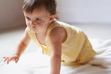 Image showing Baby, crawling and playing on floor, child development and infant growth with happy coordination and home. Girl, learning and healthy in good mood, childhood or balance with arms, kid or adorable