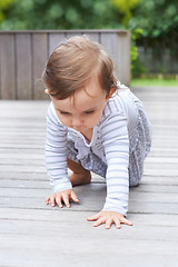 Image showing Baby, crawling and curious on floor, child development and growth with learning, coordination and home. Girl, mobility and healthy in playful, childhood or balance with arms, kid or adorable