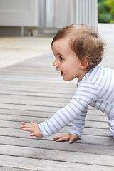 Image showing Baby, crawling outdoor and happy on floor, child development and growth with sensory, coordination and home. Girl, playing and healthy in good mood, childhood or balance with arms, kid or curious