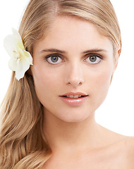 Image showing Woman, portrait and beauty in studio with flower, makeup and confidence for cosmetic closeup. Model, person or sustainable dermatology for haircare or natural organic skincare on white background