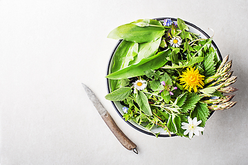 Image showing Spring food plants 