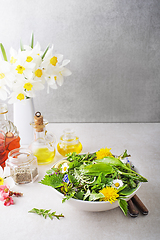 Image showing Spring salad food plants
