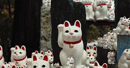 Image showing Lucky cat, figure and Shinto temple with shrine, culture or forest for wish, faith or zen in environment. Animal, toys and peace with religion, worship or Buddhism with icon, symbol or wave in Japan