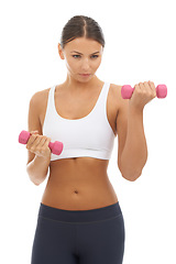 Image showing Woman, dumbbells and weightlifting exercise in studio for healthy muscle, wellness or white background. Female person, equipment and fitness training for strong workout for gym, athlete or mockup