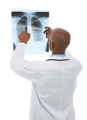 Image showing Doctor, xray scan and person review MRI results for lung evaluation, clinic test or medical exam. Studio, health support and back of radiologist problem solving anatomy assessment on white background
