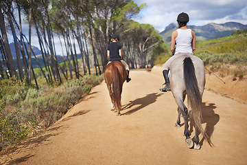 Image showing People, horse and hobby for horseback riding in texas, rider and sport training in countryside. Farm, rural and nature in outdoor, adventure and animal on gravel, pet care and riders with back