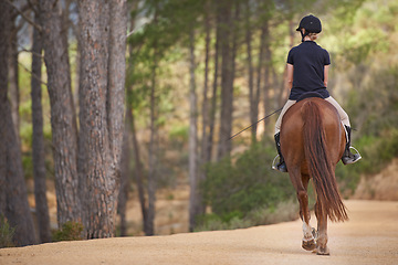 Image showing Equestrian, riding and horse on trail in nature on adventure and journey in countryside mockup. Ranch, animal and back of rider outdoor with pet on path in forest or woods for hobby on farm in summer