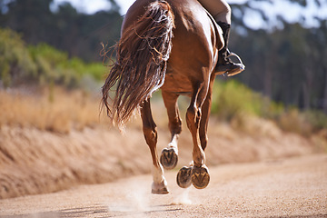 Image showing Person, horse and running for horseback riding in texas, countryside and sport training. Farm, rural and nature in outdoor, adventure and animal livestock with jockey, pet care and dirt road
