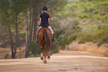 Image showing Equestrian, trail and riding a horse in nature on adventure and journey in countryside. Ranch, animal and back of rider outdoor with pet on path in forest or woods for hobby on farm in summer