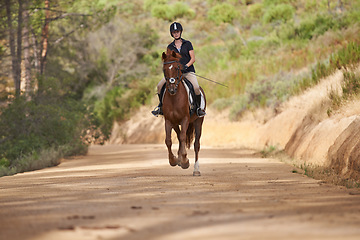 Image showing Equestrian, trail and riding a horse in nature on adventure and journey in countryside. Ranch, animal and rider outdoor with pet on path in forest or woods for hobby on farm with girl in summer