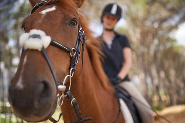 Image showing Equestrian, horse and riding closeup in nature on adventure and journey in countryside. Animal, face and rider outdoor with hobby, sport or pet on farm, ranch and girl training on trail in summer