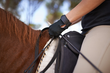 Image showing Equestrian, bridle and hands closeup on horse for riding adventure and journey in countryside. Ranch, animal and rider outdoor with hobby, sport or person training a pet on farm in summer environment