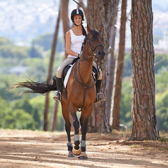 Image showing Riding, horse and portrait of woman in nature on adventure and journey in countryside. Ranch, animal and rider outdoor with hobby, sport or pet on farm with girl on path in forest, woods and summer