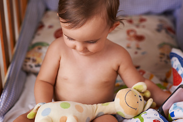 Image showing Baby, toy and playing in crib for fun, stuffed animal and child development of motor skills and knowledge. Girl, toddler and relaxing in nursery at home, learning and curiosity for growth and care