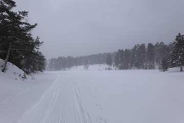 Image showing Vinter i Oslo