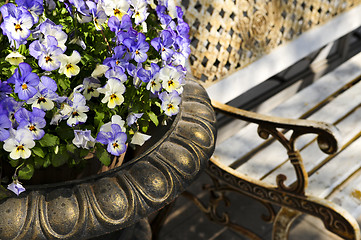 Image showing Planter with pansies and bench