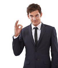 Image showing Perfect, hands or portrait of business man in studio with thank you gesture on white background. Ok, emoji or male entrepreneur face with success, feedback or review approval for service excellence