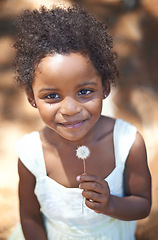 Image showing Happy, black child and portrait in nature, flower and summer holiday with sunshine in forest. Young, african toddler and smile face for dandelion on vacation, spring and countryside in relax wellness