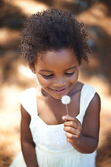 Image showing Happiness, black child and nature with flower in summer, holiday and sunshine in open forest. Young, african girl and smile face for dandelion on vacation, spring and countryside in relax wellness