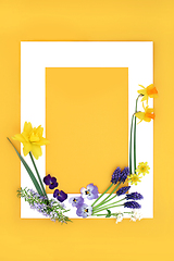 Image showing Spring and Easter Flower and Herb Abstract Background Frame
