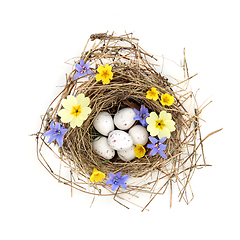 Image showing Blue Tit Eggs in Bird Nest with Spring Flowers