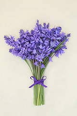 Image showing Bluebell Flower Bouquet  for Springtime