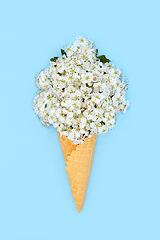 Image showing Surreal Hawthorn Blossom Ice Cream Cone