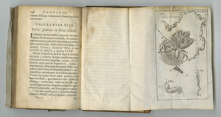 Image showing Anatomy, book and medical drawing on paper in antique, vintage or old science textbook with knowledge. Archive, illustration and diagram on parchment with notes, information and study of human body