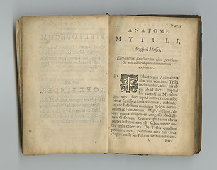 Image showing Antique medical page, information and library stamp for authorized knowledge on medicine study, learn or research. Language, pathology and parchment paper for healthcare education literature or books