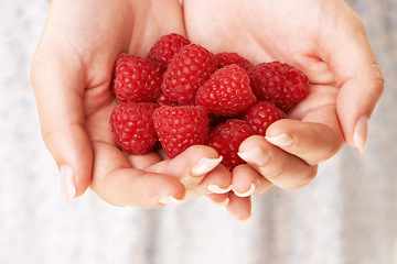 Image showing Hands, woman and holding raspberry fruits for detox, vegan diet and eco nutrition of healthy ingredients. Closeup of red berries, organic food and sustainable benefits of vitamin c, wellness and care