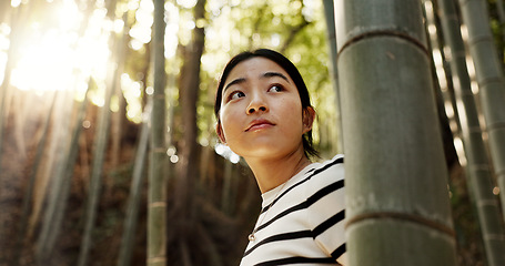 Image showing Nature, bamboo and Japanese woman in forest for adventure on holiday, vacation and morning in woods. Travel, low angle and person thinking with natural plants to explore, walking and freedom in Kyoto