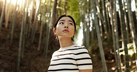 Image showing Nature, thinking and Japanese woman in bamboo forest for adventure on holiday, vacation and morning. Travel, scenic and person with plants in natural woods for explore, walking and freedom in Kyoto