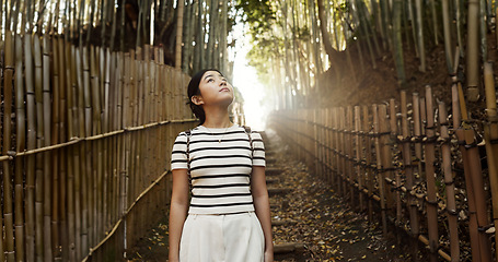 Image showing Nature, bamboo path and Japanese woman for hiking on holiday, vacation and morning in outdoor woods. Thinking, relax and person in forest, track and trail to explore, walking and adventure in Kyoto