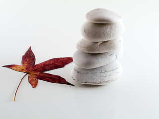 Image showing Beach stones with leaf