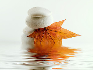 Image showing Beach stones with leaf and water reflection