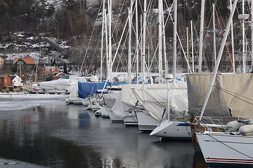 Image showing Vinter i Paddehavet