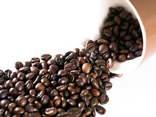 Image showing Spilled coffee beans